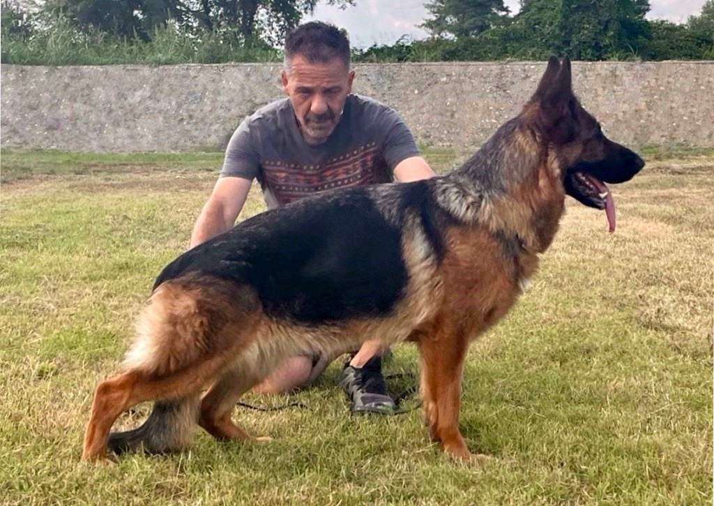 Saga du haut  mansard